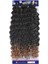 Sister Afro Dalgası Saç - Siyah Karamel Ombreli T1B/27 1