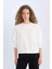 Regular Fit Bisiklet Yaka Kalın Basic Düz Sweatshirt D6645AX24WN 3