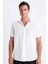 Regular Fit Yazlık Polo Yaka Pamuklu Basic Düz Kısa Kollu Gömlek D1057AX24SM 1