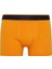 Regular Fit 3'lü Boxer T4929AZ24SM 4