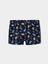 Lcw Kids Baskılı Erkek Çocuk Boxer 3'lü 4