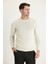 Bisiklet Yaka Slim Fit Dar Kesim Desenli Triko Kazak 2