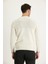 Bisiklet Yaka Slim Fit Dar Kesim Desenli Triko Kazak 3