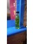 El Yapımı Içilebilir Zeytinyağı Özlü Isırgan Otu Yağı 250 ml 1
