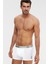 Conan Boxer 1