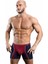 Erkek Boxer 1720 5