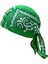 Yeşil Için Şı Bandana Beanie Ter Iğı (Yurt Dışından) 2