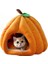 Tavşan Kedi Köpek Yatağı Evi (M) (Yurt Dışından) 1