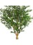 Yapay Zeytin Ağacı 3578 Yaprak 154 Meyveli Yeşil 240 Cm. 2