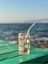 Pinterest Pembe Kahve/ Meşrubat Bardağı Pipetli 2
