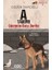 Iz Sürücü Köpekler 3 – Cılızım’ın Başı Dertte - Gülten Dayıoğlu 1