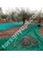Zeytin Toplama Filesi – Sergenlik – Yüzde 75 Lik Yeşil – Tüm Ebatlar - 1 Metre x 70 Metre 4