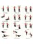 4 Lastikli Kaliteli Pilates Bar Egzersiz Çubuğu Ayarlanabilir Zorluk Evde Spor Squat Kademeli Çantalı Kolay Kurulum 5