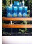 PRO-VISION Lens Solüsyon 270 ML X 4 + SEYAHAT BOY HEDİYE 4