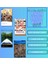Penguin - Readers King Solomon’s Mines - Love Actually - The Mosquito Coast - Secret Code (B1 / B1+ Seviye Ingilizce Hikaye Seti 4 Kitap) 1