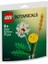 Botanicals 30701 Field Flowers 1