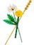 Botanicals 30701 Field Flowers 3