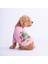 Pembe Bone Hunter Küçük Irk Köpek Sweatshirtü 1