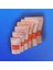 Kraft Pencereli Doypack 85X145 mm 50 Li Paket 2