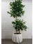 Rüzgar Yapay Çiçekçilik 110 cm 2 Gövdeli Bambu Ağacı ( Saksı Modeli Degisebilir) 1