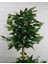 Rüzgar Yapay Çiçekçilik 110 cm 2 Gövdeli Bambu Ağacı ( Saksı Modeli Degisebilir) 4