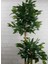 Rüzgar Yapay Çiçekçilik 110 cm 2 Gövdeli Bambu Ağacı ( Saksı Modeli Degisebilir) 5