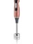 -AR1103 Hestia Multi Gün Batımı 1500 W Blender Seti 3