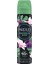 Yardley London - Deodorant 1