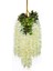 12 Paket (43.2 Ft) Yapay Wisteria Asma Sahte Wisteria Asılı Çelenk Ipek Uzun Asılı Çalı Çiçekleri Dize Ev Partisi Düğün Dekor (Beyaz) (Yurt Dışından) 3