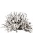 16 Adet Yapay Çiçekler Gerçek Dokunuş Gypsophila Sahte Çiçekler Ev Çiçek Düzenlemeleri Düğün Açık Hava Dekoru (Beyaz) (Yurt Dışından) 1