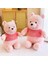 45C'M Pembe Vinnie Ayı Peluş Oyuncak Ayı (Yurt Dışından) 4