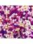 1000 Adet/paket 5mm Hama Boncuk Bulmaca Eğitim Oyuncakları Juguetes 3D Bulmacalar Yapboz Bulmaca 48 Renk Perler Boncuklar Fuse Boncuklar Çocuklar Için (Yurt Dışından) 2