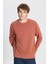 Erkek Açık Kahve Standart Fit Normal Kesim Bisiklet Yaka 3 Iplik Pamuklu Sweatshirt 1
