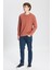 Erkek Açık Kahve Standart Fit Normal Kesim Bisiklet Yaka 3 Iplik Pamuklu Sweatshirt 2