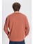 Erkek Açık Kahve Standart Fit Normal Kesim Bisiklet Yaka 3 Iplik Pamuklu Sweatshirt 5