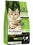 Premium Kuzulu Bal Kabaklı ve Elmalı Kedi Maması 2 kg 1