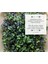 Mikro Filiz Yetiştirme Kiti - 2'li Salad Mix - Brokoli, Kale, Kohlrabi, Roka, Kırmızı Lahana 4