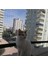 Kedi Filesi, hayvan koruma filesi (2.5metre*8metre) 1