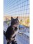 Kedi Filesi, hayvan koruma filesi (2.5metre*8metre) 3