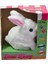 40098 Tavşan Peluş Pilli-Aya Toys 2
