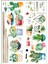 Sticker Yeşil Bitki Çiçek Duvar Stickeri Mutfak Salon Çocuk Oturma Odası Dekorasyon 3lü Set Çıkartma 3