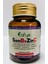 Sambezinc ( Sambucus Nigra +Beta Glukan +Çinko(Zinc) + Vitamin C+ Zencefil) 30 Kapsül 1