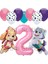 Paw Patrol Skye 2 Yaş Balon Seti Polis Köpek Paw Patrol Skye ve Everst Doğum Günü Balon Seti 1