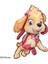 Paw Patrol Skye 2 Yaş Balon Seti Polis Köpek Paw Patrol Skye ve Everst Doğum Günü Balon Seti 3