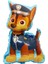 Paw Patrol Balon Seti Paw Petrol 7 Yaş Balon Seti Paw Patrol Doğum Günü Set Marshlall Chase 2