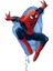 Örümcek Adam Spiderman 1 Yaş Doğum Günü Balon Set Spiderman Konsept Doğum Günü Balon Set 2