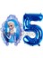 Frozen Elsa Konsept 5 Yaş Balon Set Karlar Ülkesi Tema Doğum Günü Folyo Balon Set 1
