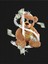 Dolar Bear Baskılı Oversize T-Shirt Salaş Boyfirend 2