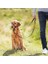 Trixie Uzman Köpek Eğitim Tasması S 22CM 3