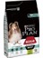 Pro Plan Medium Adult Kuzu Etli Köpek Maması 3 kg 1
